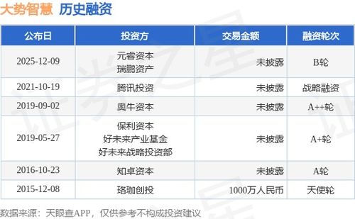 大势智慧完成B轮融资，元睿资本与瑞鹏资产领投，技术赋能再升级