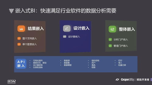 低代码与嵌入式BI 中小软件公司提速成长的双引擎